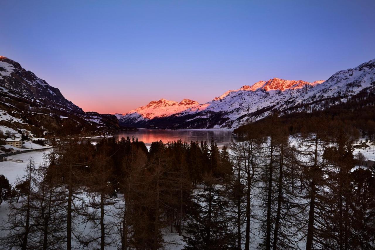 Maloja Palace Residence Engadin-St Moritz Co2-Neutral Exterior photo